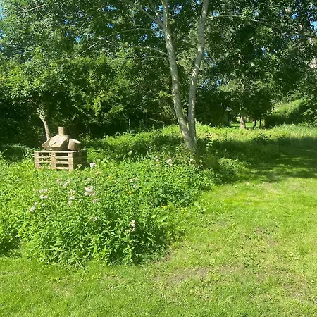 Modern Near And Town In *